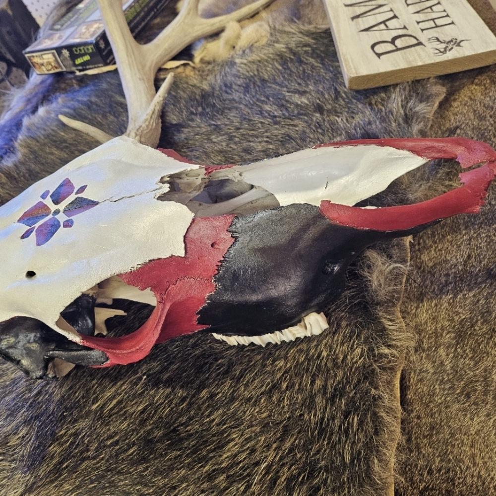 Painted cow skull